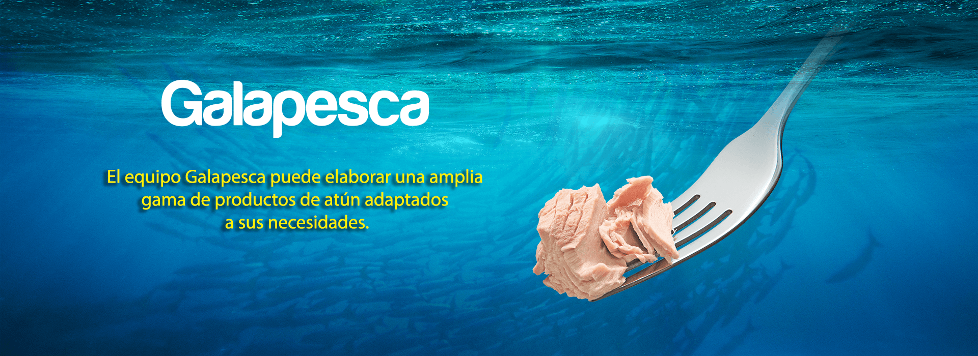 Banner Galapesca Instalaciones 3