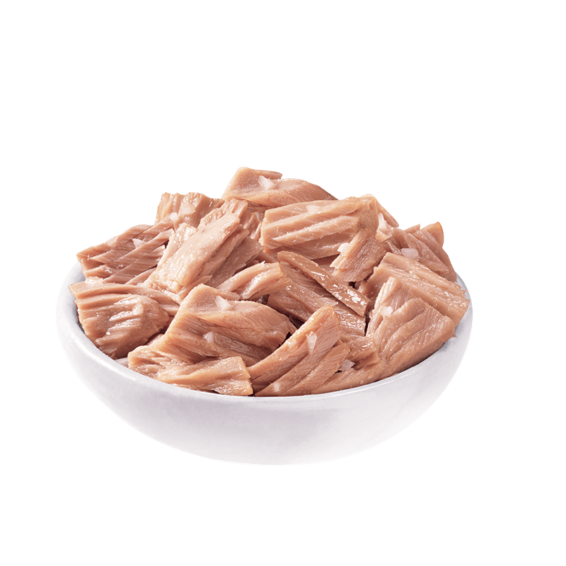 Tuna Chunks